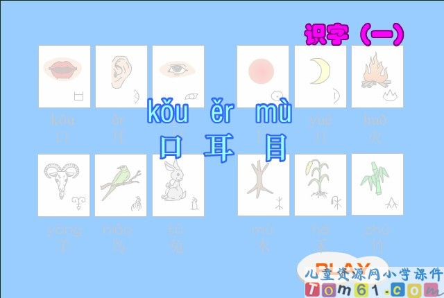 口耳目课件4