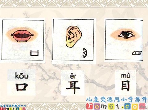 口耳目课件1