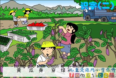 菜园里课件