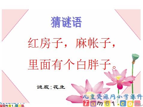 小松鼠找花生课件3