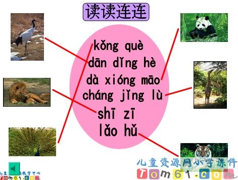 一年级语文上册课件复习四1