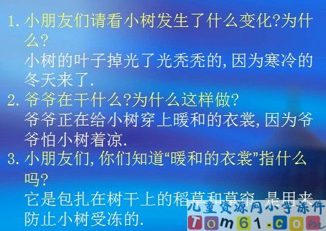 爷爷和小树课件14