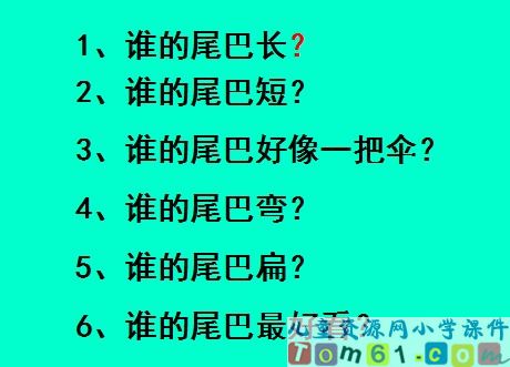比尾巴课件9