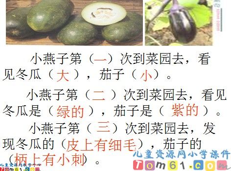 一次比一次有进步课件7