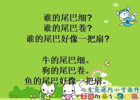 比尾巴课件32