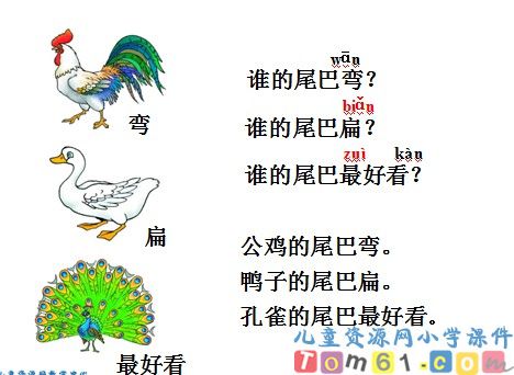比尾巴课件18