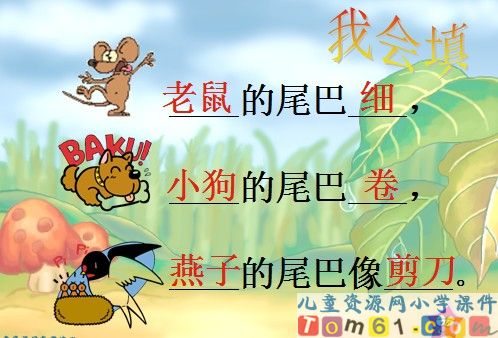 比尾巴课件34