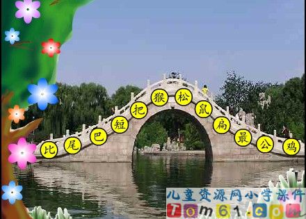 比尾巴课件30