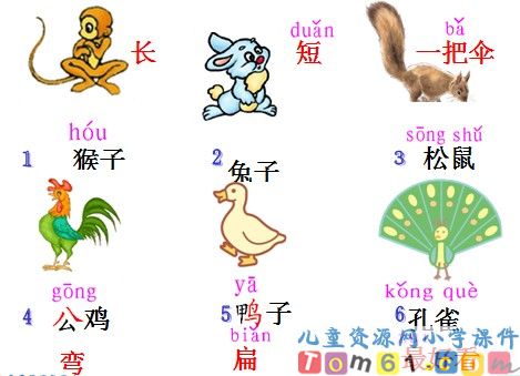 比尾巴课件22