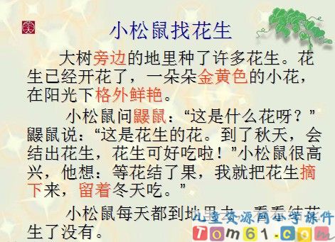 小松鼠找花生课件17
