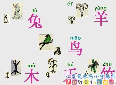 口耳目课件11