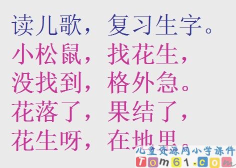 小松鼠找花生课件16