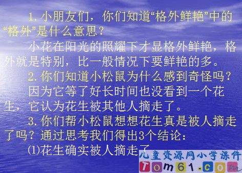 小松鼠找花生课件22