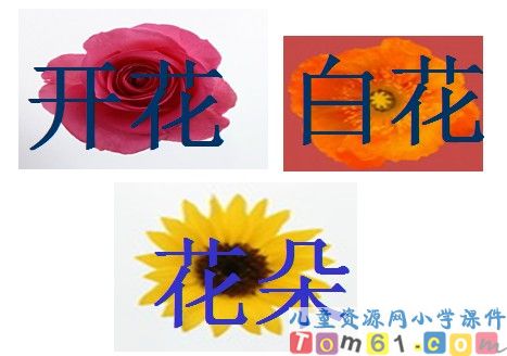 一去二三里课件18