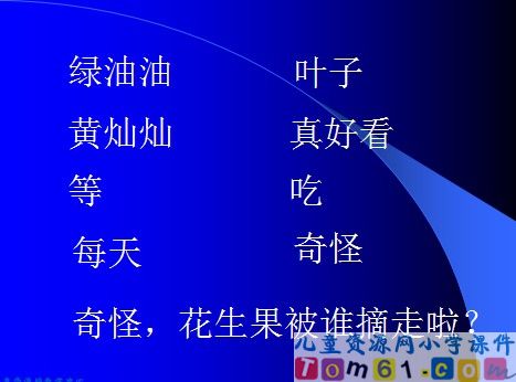 小松鼠找花生课件23
