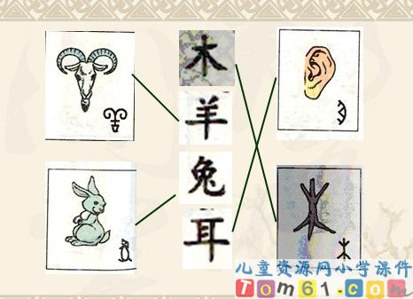 口耳目课件5