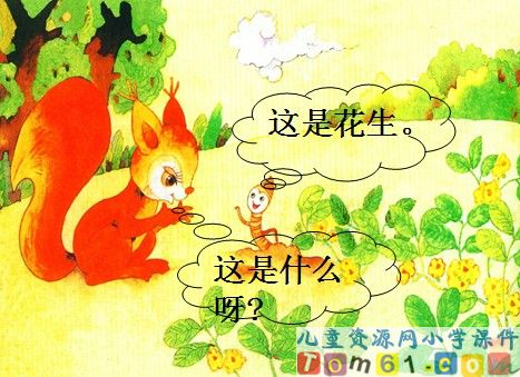 小松鼠找花生课件14