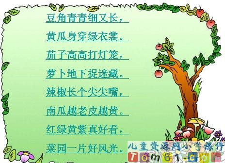菜园里课件13