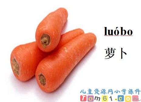 菜园里课件11