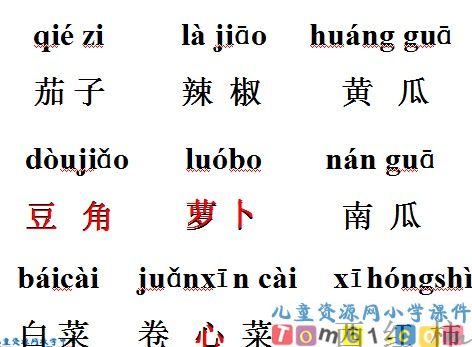 菜园里课件19
