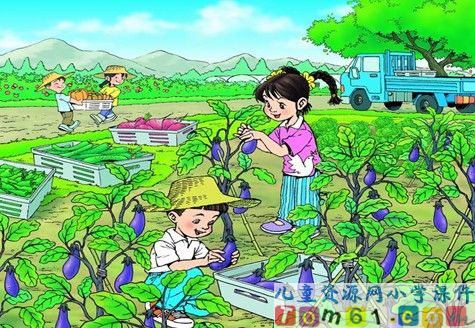 菜园里课件26