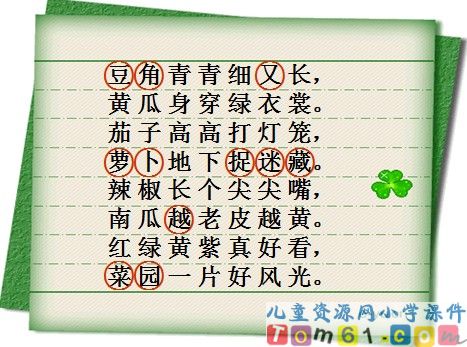 菜园里课件6