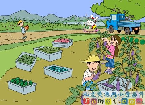 菜园里课件18