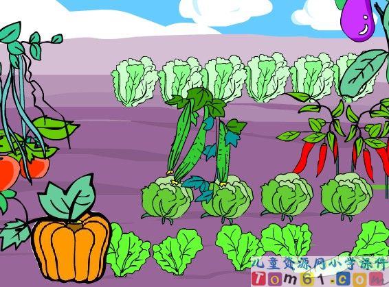 菜园里课件4