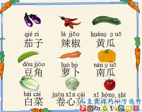菜园里课件14