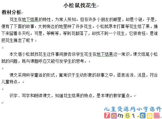 小松鼠找花生教案5