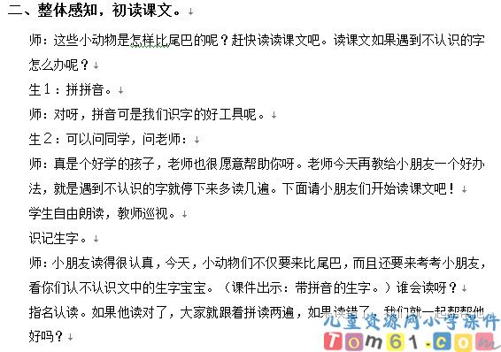 比尾巴教案7