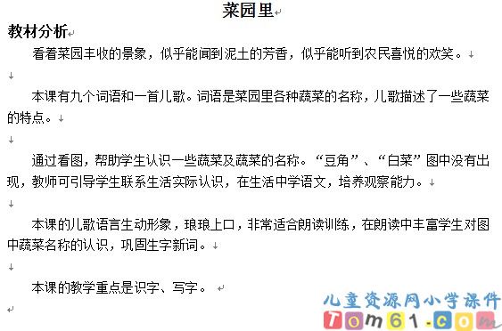 菜园里教案5