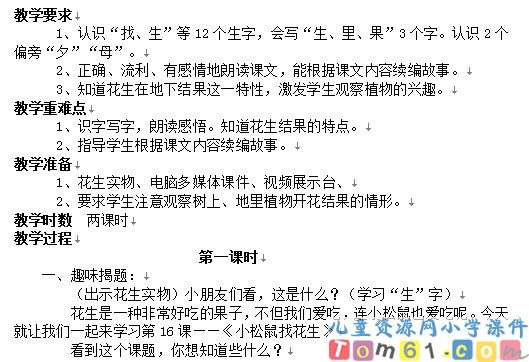 小松鼠找花生教案2