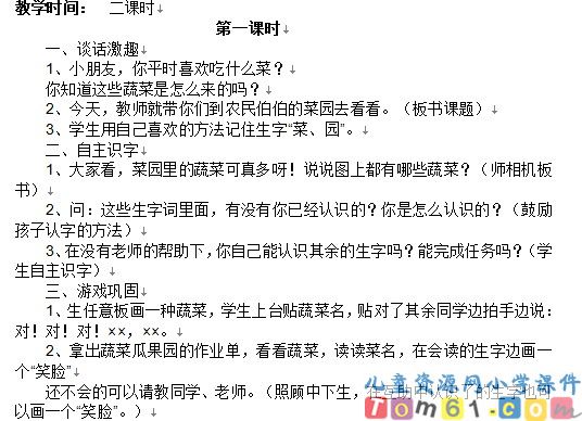 菜园里教案1