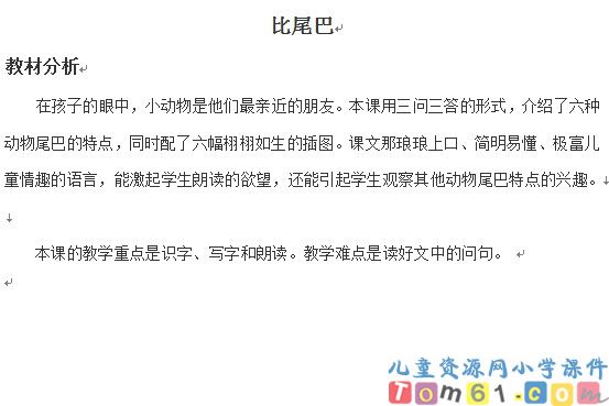 比尾巴教案5