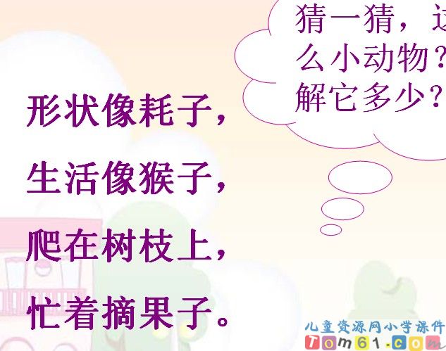 松鼠和松果课件