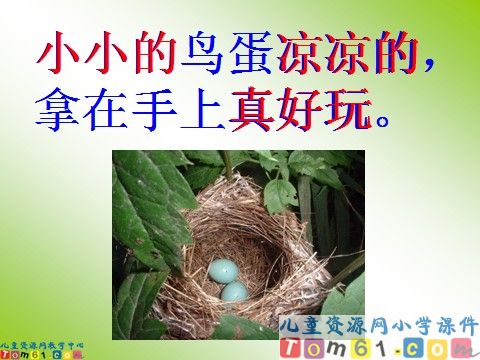 两只鸟蛋课件2