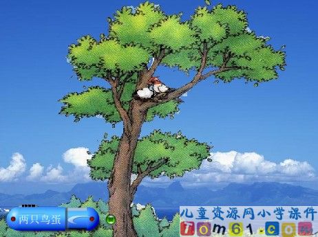 两只鸟蛋课件4