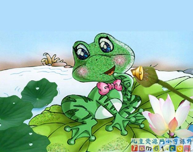 荷叶圆圆课件2