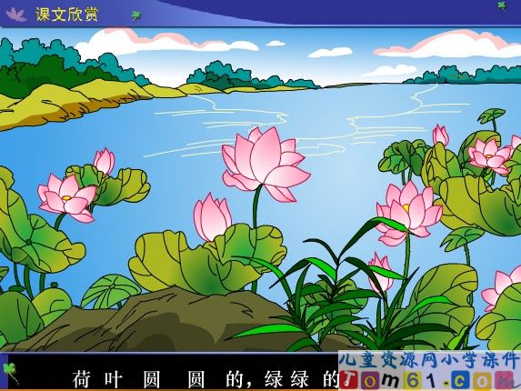 荷叶圆圆课件3