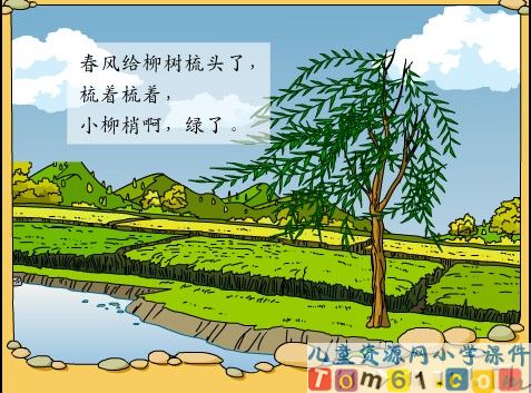 柳树醒了课件21