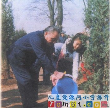 邓小平爷爷植树课件11
