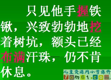 邓小平爷爷植树课件7