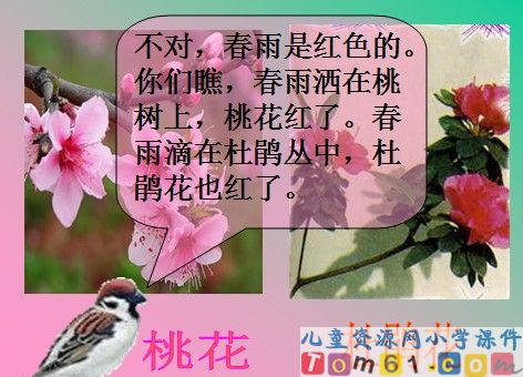 春雨的色彩课件23