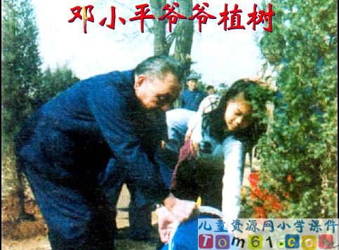 邓小平爷爷植树课件4