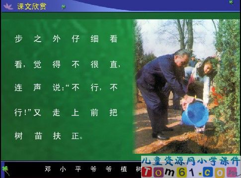 邓小平爷爷植树课件14