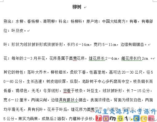 柳树醒了课件25