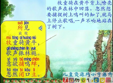 所见课件9
