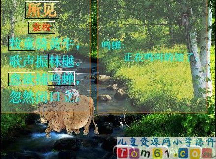 所见课件8
