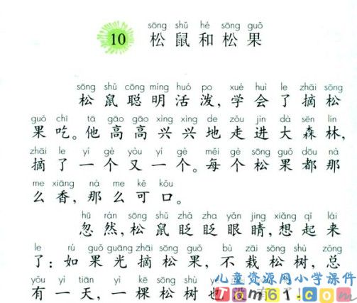 松鼠和松果课件11
